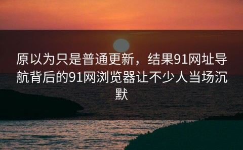 原以为只是普通更新，结果91网址导航背后的91网浏览器让不少人当场沉默
