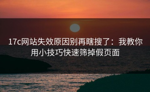 17c网站失效原因别再瞎搜了：我教你用小技巧快速筛掉假页面