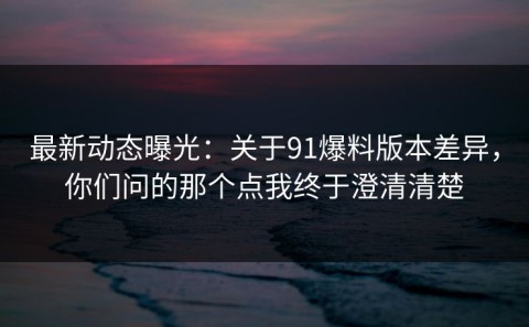 最新动态曝光：关于91爆料版本差异，你们问的那个点我终于澄清清楚