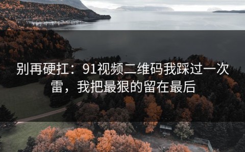 别再硬扛：91视频二维码我踩过一次雷，我把最狠的留在最后