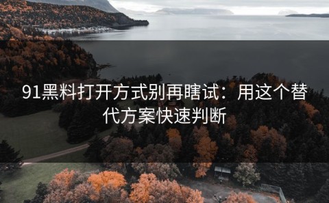 91黑料打开方式别再瞎试：用这个替代方案快速判断