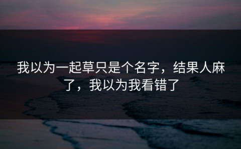 我以为一起草只是个名字，结果人麻了，我以为我看错了