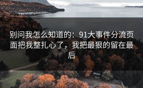 别问我怎么知道的：91大事件分流页面把我整扎心了，我把最狠的留在最后