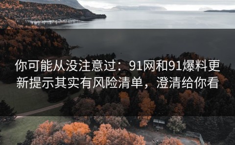 你可能从没注意过：91网和91爆料更新提示其实有风险清单，澄清给你看