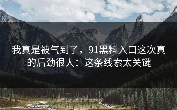 我真是被气到了，91黑料入口这次真的后劲很大：这条线索太关键