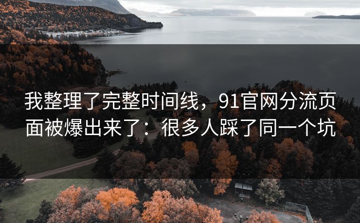 我整理了完整时间线，91官网分流页面被爆出来了：很多人踩了同一个坑