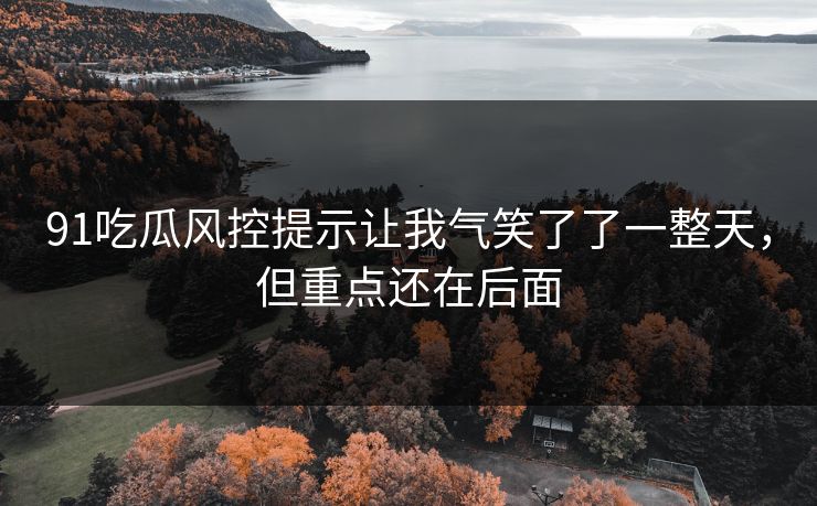 91吃瓜风控提示让我气笑了了一整天，但重点还在后面
